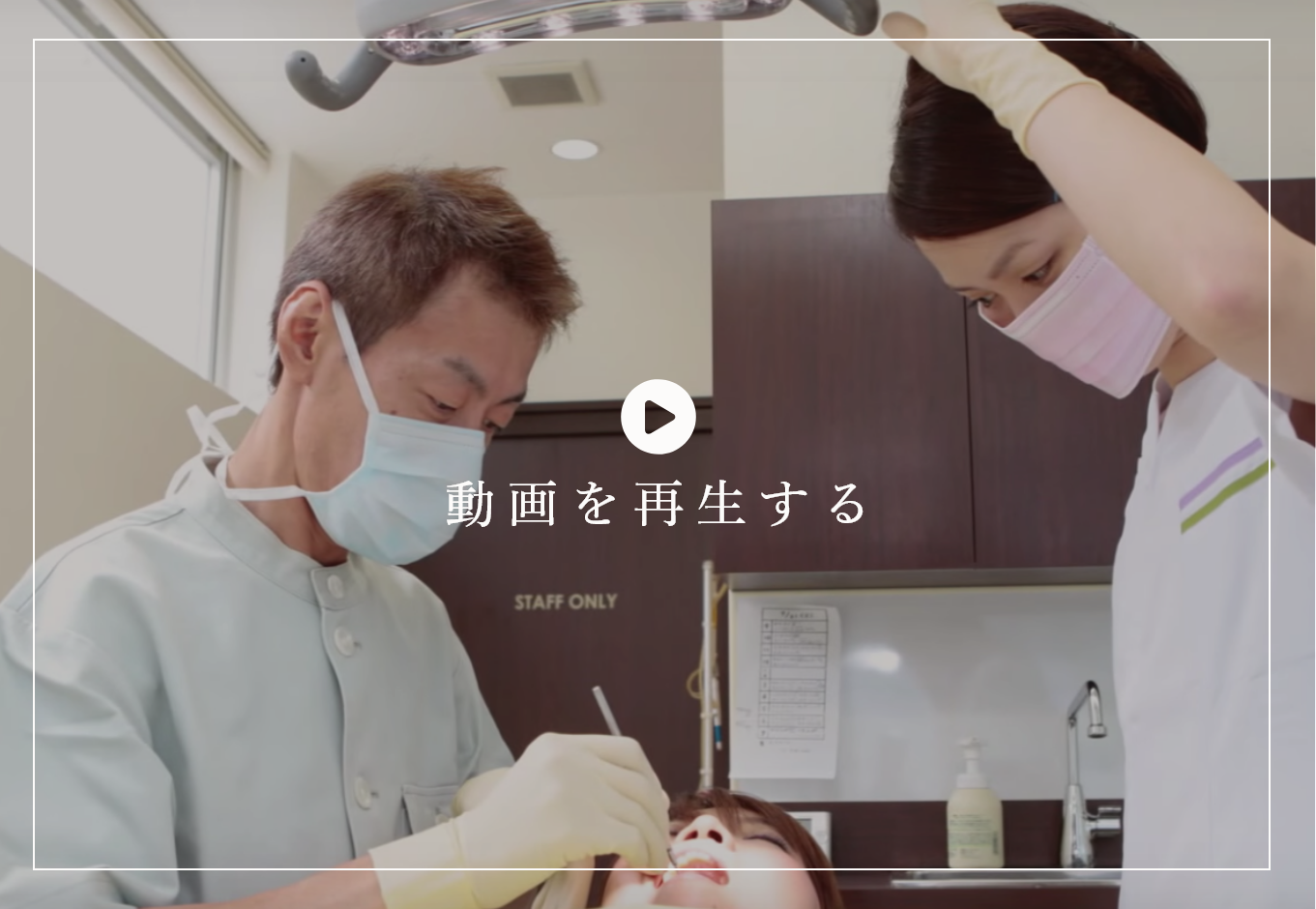 動画を再生する