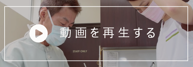 動画を再生する